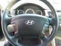 2010 Sonata Limited #22