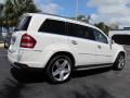 2010 GL 550 4Matic #14