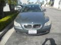 2010 BMW 5 Series 528i Sedan Platinum Grey Metallic