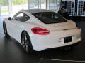2014 Cayman  #10