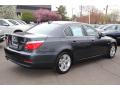 2010 5 Series 528i Sedan #5