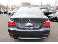 2010 5 Series 528i Sedan #6