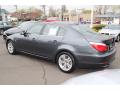 2010 5 Series 528i Sedan #7