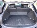 2010 EX 35 Journey AWD #18