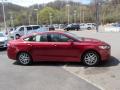 2013 Fusion SE 1.6 EcoBoost #1