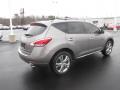 2011 Murano LE AWD #5 2011 Murano LE AWD #5