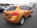 2008 Rogue SL AWD #5 2008 Rogue SL AWD #5