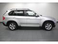 2010 BMW X5 Titanium Silver Metallic #7 2010 BMW X5 Titanium Silver Metallic #7