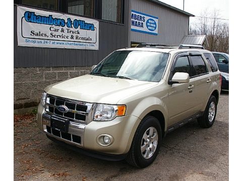 Gold Leaf Metallic Ford Escape Limited V6 4WD.  Click to enlarge.