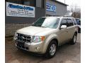 2010 Escape Limited V6 4WD #1 2010 Escape Limited V6 4WD #1