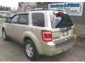 2010 Escape Limited V6 4WD #8 2010 Escape Limited V6 4WD #8