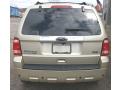 2010 Escape Limited V6 4WD #9 2010 Escape Limited V6 4WD #9