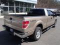 2011 F150 XLT SuperCab 4x4 #8