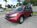 2010 CR-V LX #7