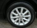 2010 Camry XLE #14