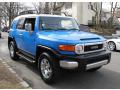 2007 FJ Cruiser 4WD #7