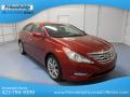 2013 Sonata SE #4