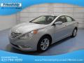 2013 Sonata GLS #2