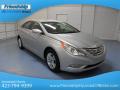 2013 Sonata GLS #4