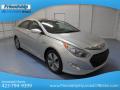 2013 Sonata Hybrid Limited #4