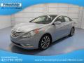 2013 Sonata Limited 2.0T #2