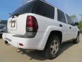 2006 TrailBlazer LS 4x4 #3