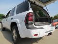2006 TrailBlazer LS 4x4 #9