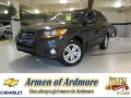 Click for details. 2010 Hyundai Santa Fe SE