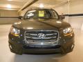 2010 Santa Fe SE #2