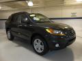 2010 Santa Fe SE #3
