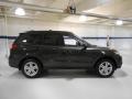 2010 Santa Fe SE #4