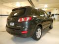 2010 Santa Fe SE #5