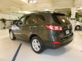 2010 Santa Fe SE #7