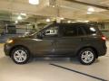 2010 Santa Fe SE #8