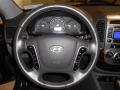 2010 Santa Fe SE #24