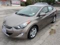 2013 Elantra GLS #2