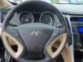 2013 Sonata GLS #12