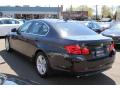 2011 5 Series 528i Sedan #7