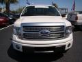 2010 F150 Platinum SuperCrew #3