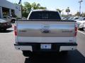 2010 F150 Platinum SuperCrew #7