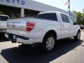 2010 F150 Platinum SuperCrew #8