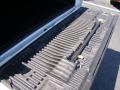 2010 F150 Platinum SuperCrew #15