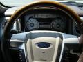 2010 F150 Platinum SuperCrew #24