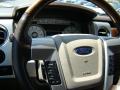 2010 F150 Platinum SuperCrew #25