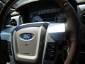 2010 F150 Platinum SuperCrew #26