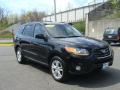 2010 Santa Fe SE #3