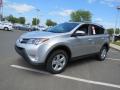 2013 RAV4 XLE #3