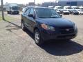 2008 Santa Fe GLS #7