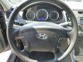 2010 Sonata GLS #22 2010 Sonata GLS #22