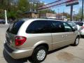  2002 Chrysler Town & Country Light Almond Pearl Metallic #11